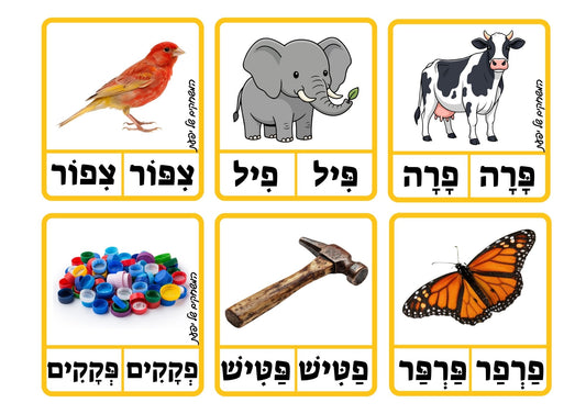 מילים עם אותיות דגושות ורפות